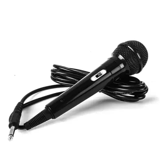 Professional Wired Dynamic Microphone 6.5mm Jack