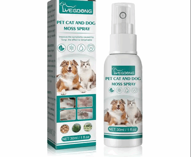 Screenshot from 2025-07-10 10-07-46