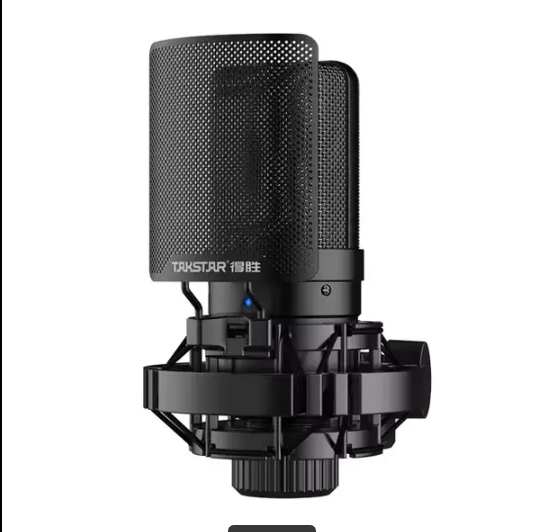 Takstar SM-8B Professional Recording Studio Microphone - Image 2