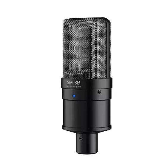 Takstar SM-8B Professional Recording Studio Microphone - Image 3