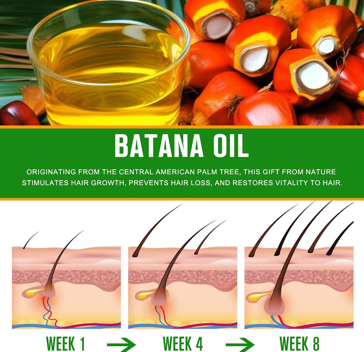 Batana Oil for Hair Growth,100% Pure and Natural Batana Oil Organic Enhances Hair & Skin Radiance Nourishment of Women and Men 60ml - Image 5